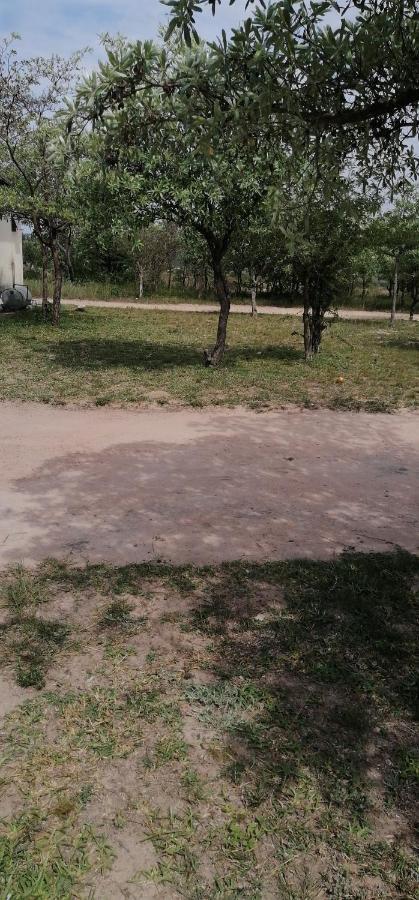 Moholoholo Lodge Acornhoek المظهر الخارجي الصورة