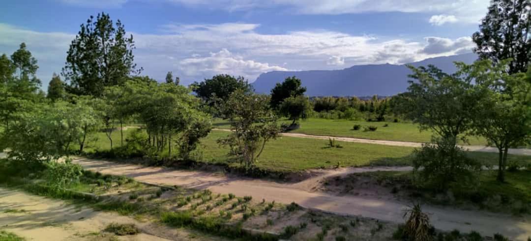 Moholoholo Lodge Acornhoek المظهر الخارجي الصورة