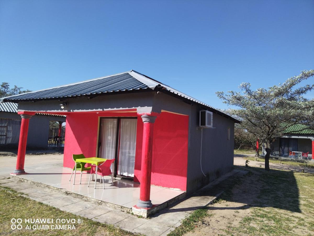 Moholoholo Lodge Acornhoek المظهر الخارجي الصورة